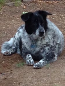 Detective Bud, taking a break but scanning the scene
